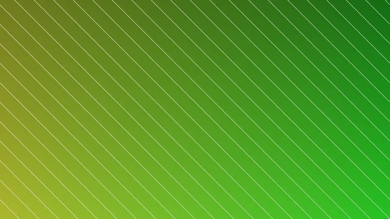 Equipe trabalhando na instalação do piso