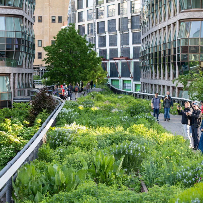 Pessoas caminhando sobre o High Line em Nova York, com vegetação luxuriante e edifícios ao fundo