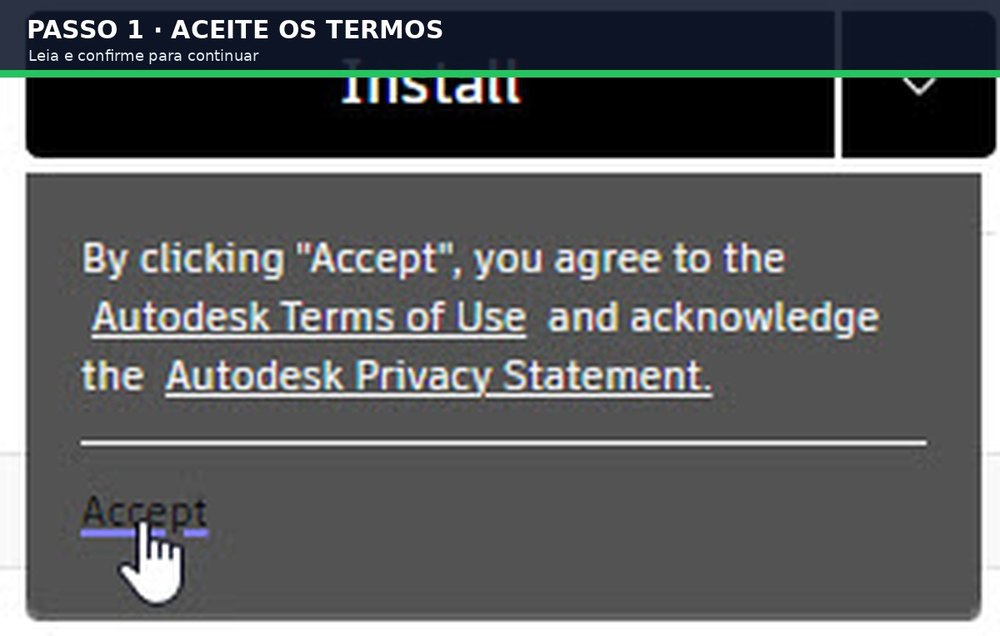 Captura real do software: Execute e aceite os termos
