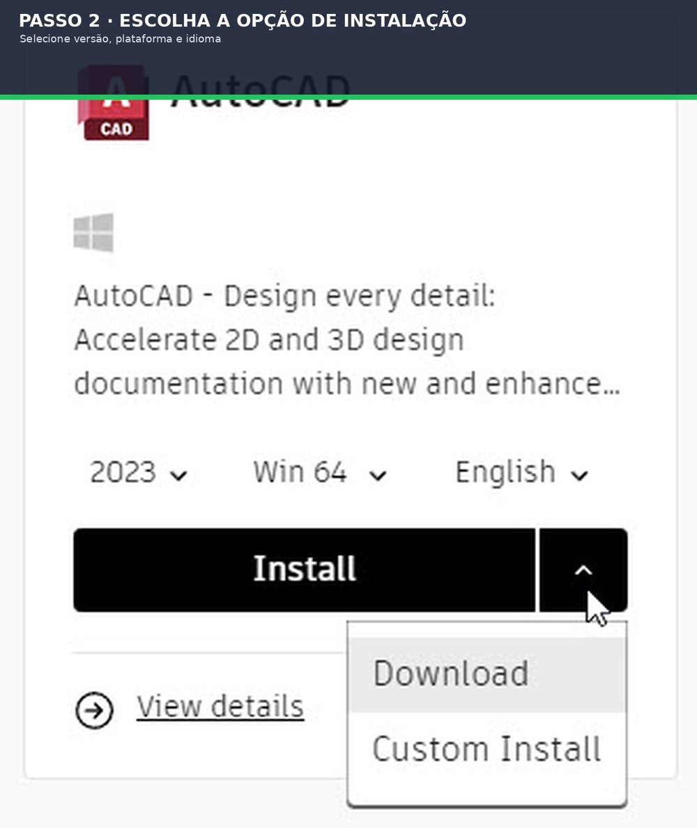 Captura real do software: Escolha versão, idioma e método
