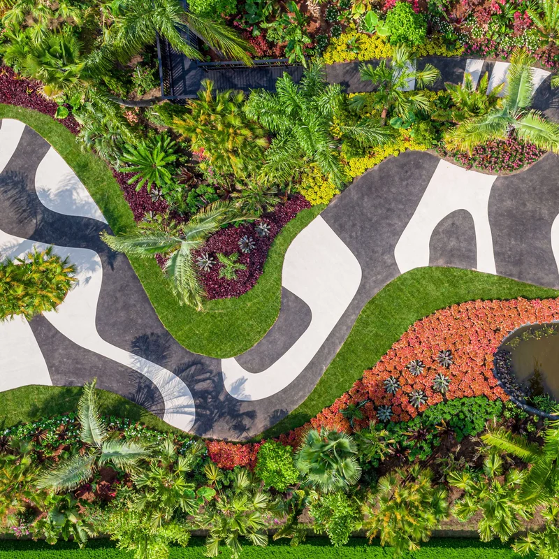 Legado vivo do paisagismo de Burle Marx em áreas urbanas