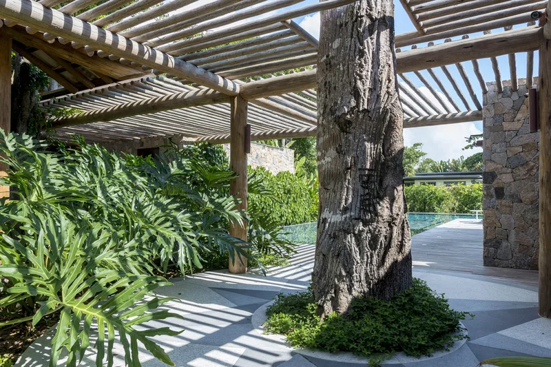 Pergolado com plantas trepadeiras em área externa