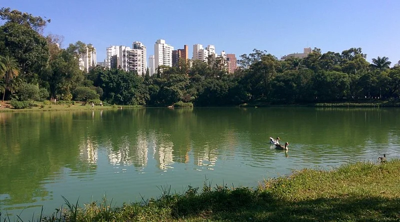 Projeto paisagístico de Rosa Kliass no Parque da Aclimação